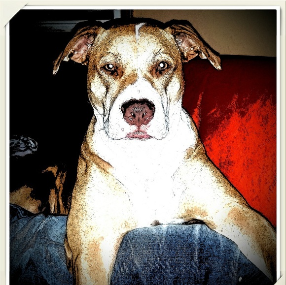 Meet your Posher, Martha - Picture 1 of 1